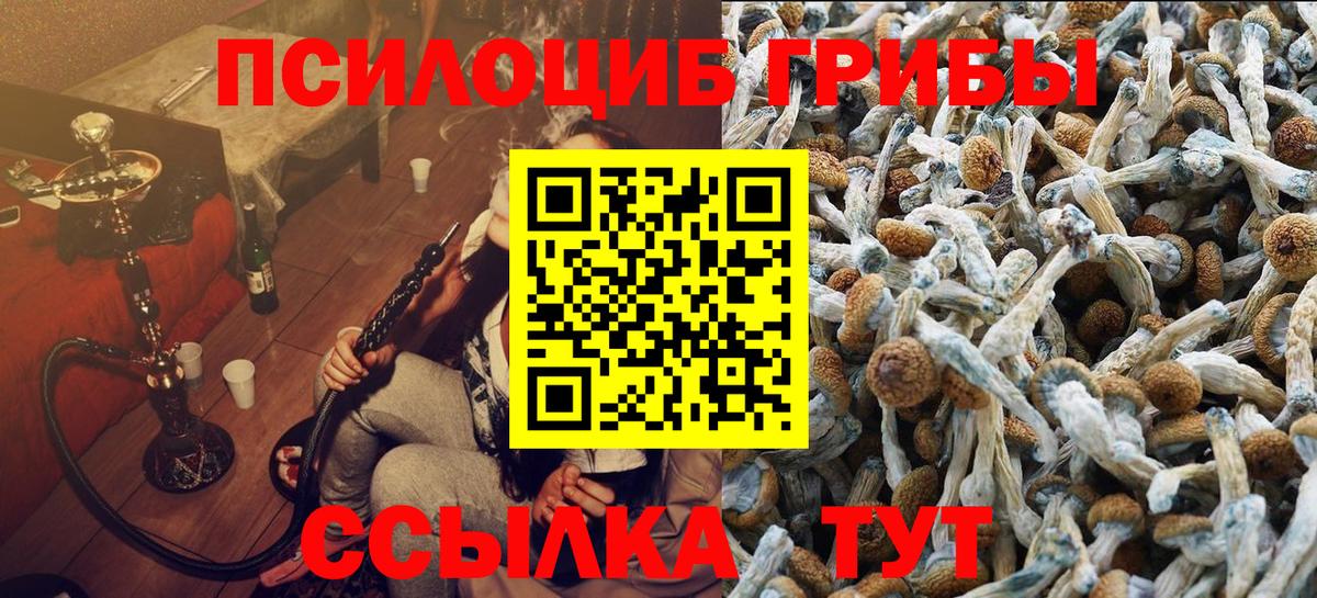 Галлюциногенные грибы MAGIC MUSHROOMS Белгород