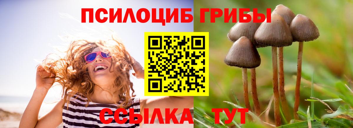 Псилоцибиновые грибы Magic Shrooms  Вход с VPN  Белгород  Галлюциногенные грибы Cubensis 